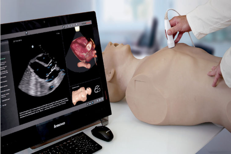 POCUS Ultraschall Training in der Notfallmedizin